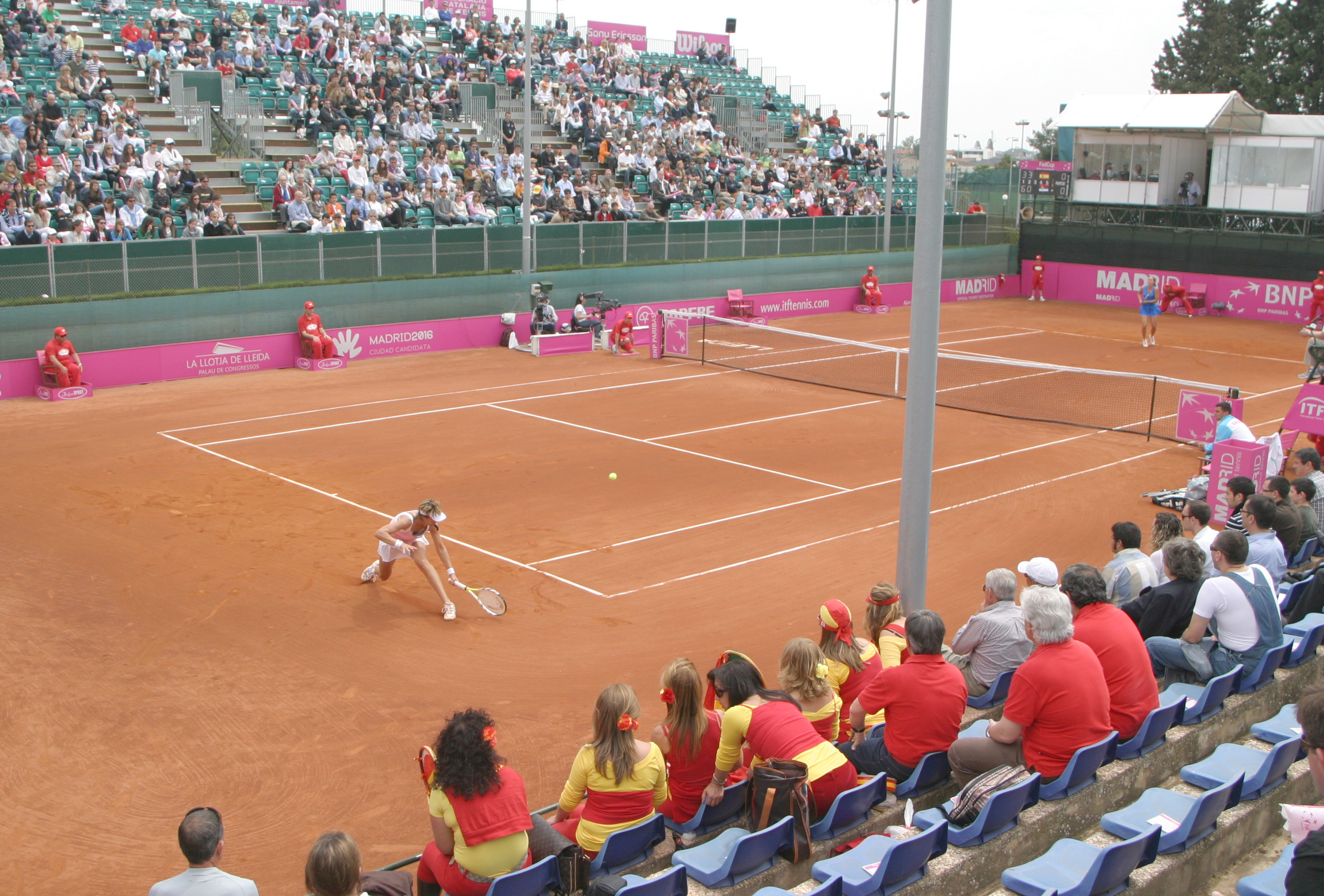 Fed Cup2009